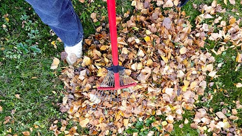 euless-mowing-guys-grass-cleanup