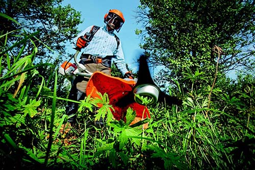 euless-mowing-guys-grass-trimmer